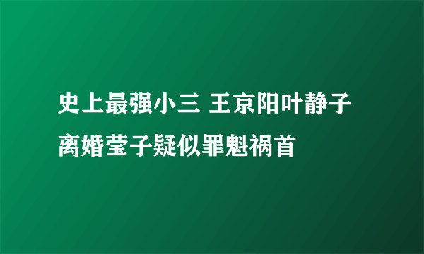 史上最强小三 王京阳叶静子离婚莹子疑似罪魁祸首