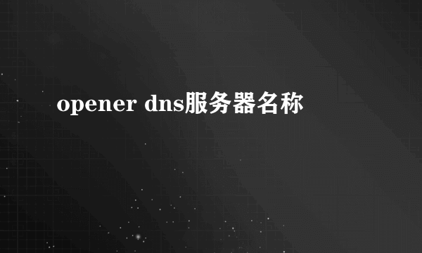 opener dns服务器名称