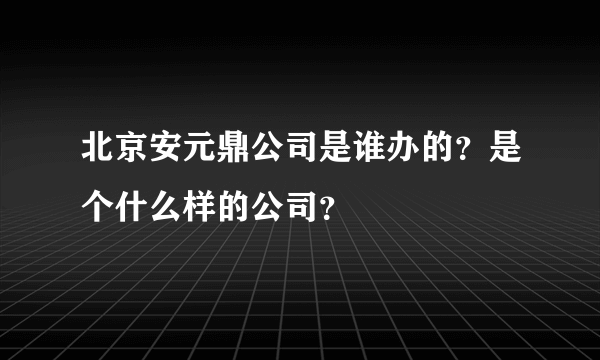 北京安元鼎公司是谁办的？是个什么样的公司？