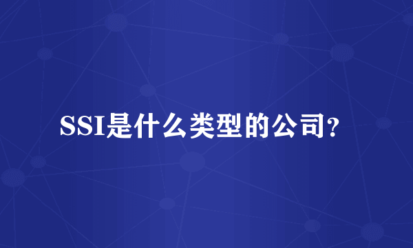 SSI是什么类型的公司？