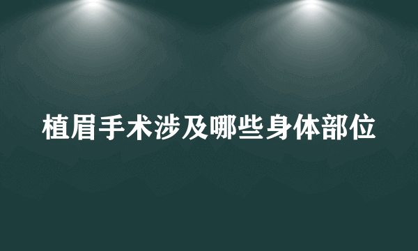 植眉手术涉及哪些身体部位