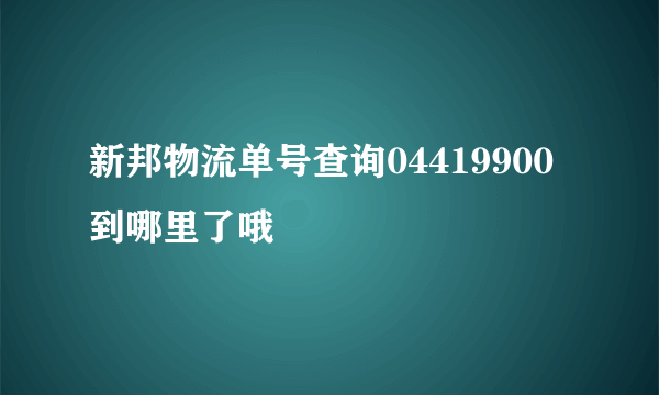 新邦物流单号查询04419900到哪里了哦