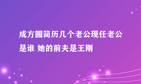 成方圆简历几个老公现任老公是谁 她的前夫是王刚