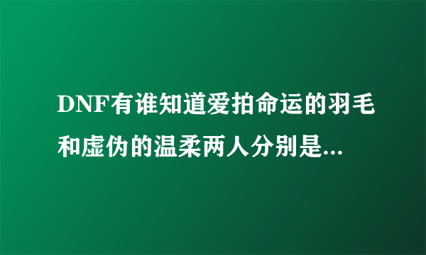 DNF有谁知道爱拍命运的羽毛和虚伪的温柔两人分别是哪里人？