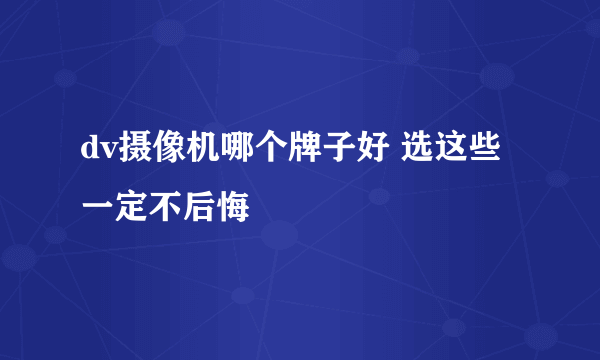 dv摄像机哪个牌子好 选这些一定不后悔