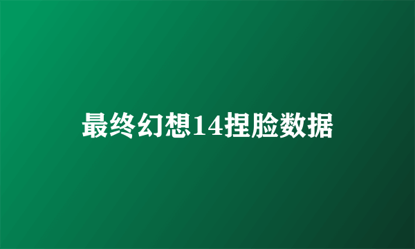 最终幻想14捏脸数据