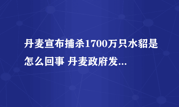 丹麦宣布捕杀1700万只水貂是怎么回事 丹麦政府发布最新回应