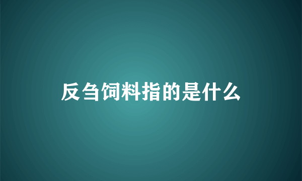 反刍饲料指的是什么