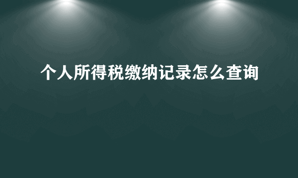 个人所得税缴纳记录怎么查询