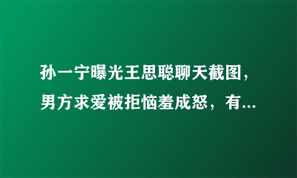 孙一宁曝光王思聪聊天截图，男方求爱被拒恼羞成怒，有图有真相，你怎么看？