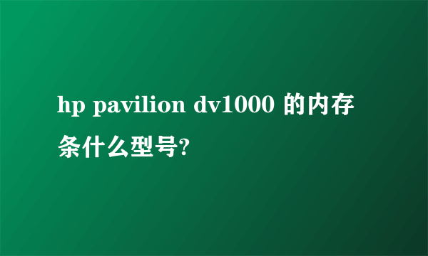 hp pavilion dv1000 的内存条什么型号?