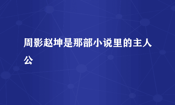 周影赵坤是那部小说里的主人公