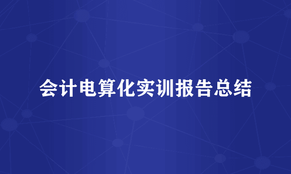 会计电算化实训报告总结