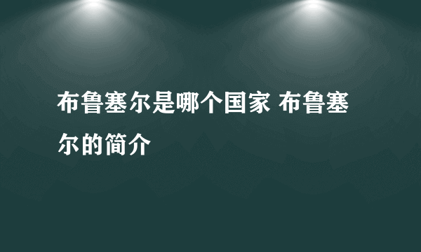 布鲁塞尔是哪个国家 布鲁塞尔的简介