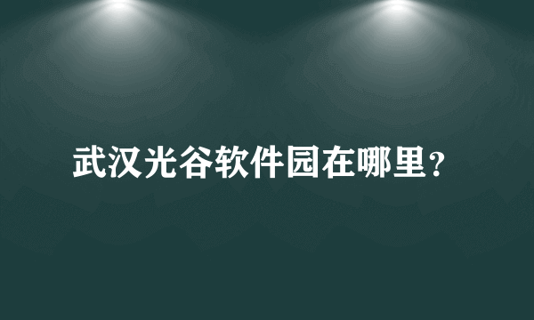 武汉光谷软件园在哪里？