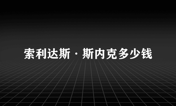 索利达斯·斯内克多少钱