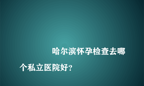 
				哈尔滨怀孕检查去哪个私立医院好？
			