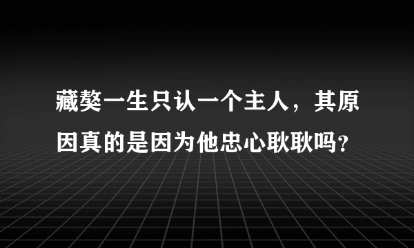 藏獒一生只认一个主人，其原因真的是因为他忠心耿耿吗？