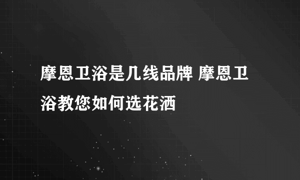 摩恩卫浴是几线品牌 摩恩卫浴教您如何选花洒