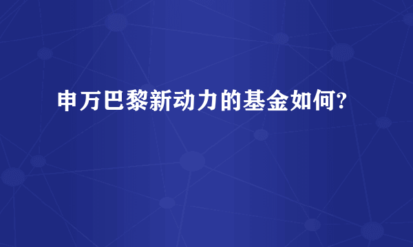 申万巴黎新动力的基金如何?