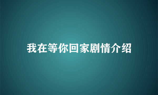 我在等你回家剧情介绍