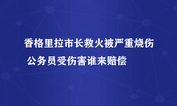 香格里拉市长救火被严重烧伤 公务员受伤害谁来赔偿