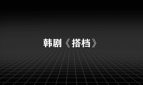 韩剧《搭档》