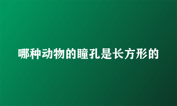 哪种动物的瞳孔是长方形的