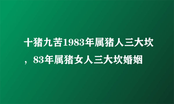 十猪九苦1983年属猪人三大坎，83年属猪女人三大坎婚姻