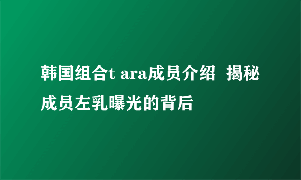 韩国组合t ara成员介绍  揭秘成员左乳曝光的背后