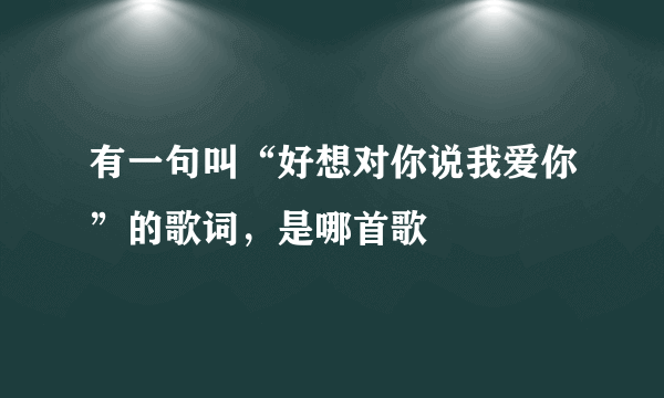 有一句叫“好想对你说我爱你”的歌词，是哪首歌