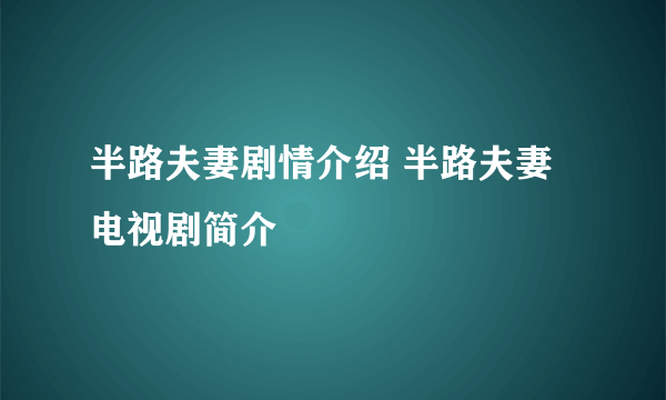 半路夫妻剧情介绍 半路夫妻电视剧简介