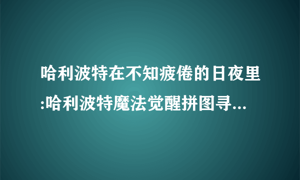 哈利波特在不知疲倦的日夜里:哈利波特魔法觉醒拼图寻宝930坐标