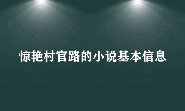 惊艳村官路的小说基本信息