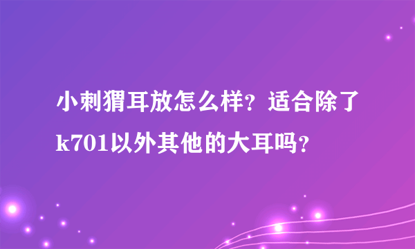 小刺猬耳放怎么样？适合除了k701以外其他的大耳吗？