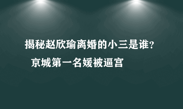 揭秘赵欣瑜离婚的小三是谁？  京城第一名媛被逼宫