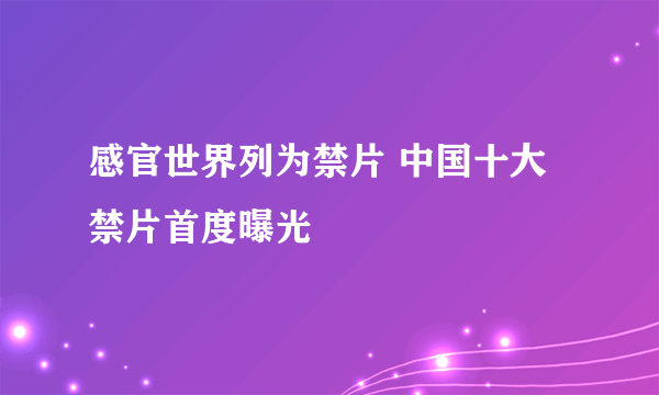 感官世界列为禁片 中国十大禁片首度曝光