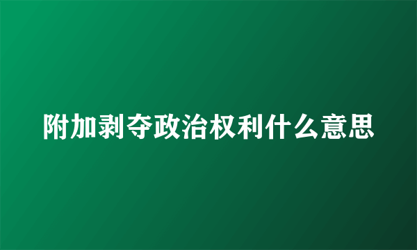 附加剥夺政治权利什么意思