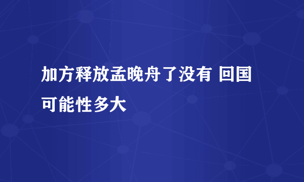 加方释放孟晚舟了没有 回国可能性多大