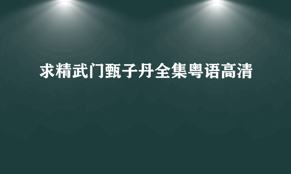 求精武门甄子丹全集粤语高清