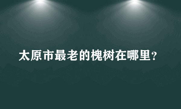 太原市最老的槐树在哪里？