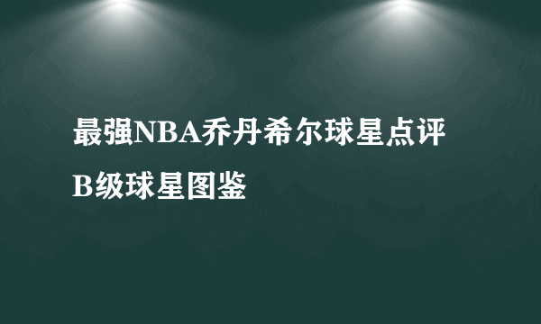 最强NBA乔丹希尔球星点评 B级球星图鉴