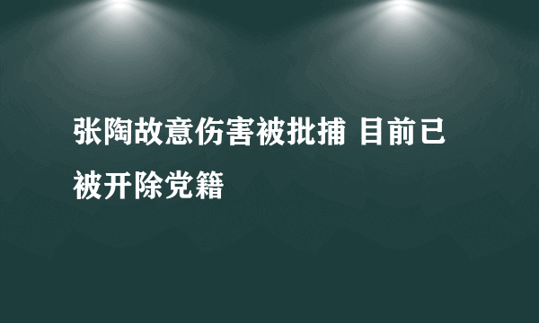 张陶故意伤害被批捕 目前已被开除党籍