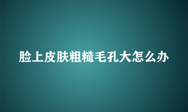 脸上皮肤粗糙毛孔大怎么办