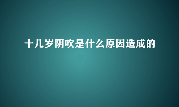 十几岁阴吹是什么原因造成的