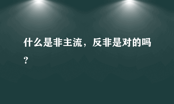 什么是非主流，反非是对的吗？