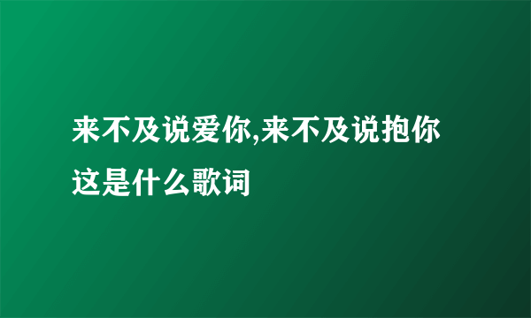 来不及说爱你,来不及说抱你这是什么歌词