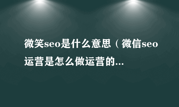 微笑seo是什么意思（微信seo运营是怎么做运营的）-飞外网