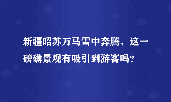 新疆昭苏万马雪中奔腾，这一磅礴景观有吸引到游客吗？