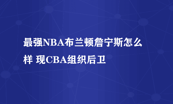 最强NBA布兰顿詹宁斯怎么样 现CBA组织后卫